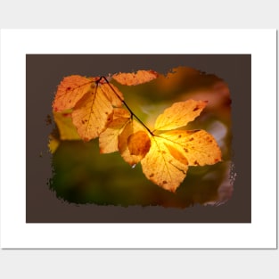 autumn leaves Posters and Art